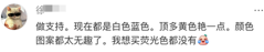 Original Xiaohongshu comment