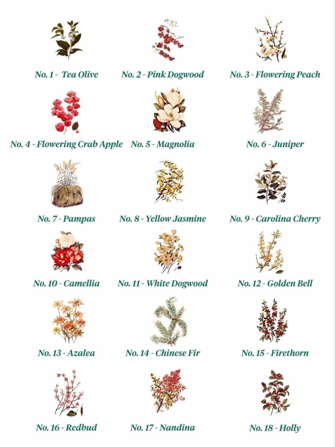 Augusta National's 18 hole-naming flowering plants illustrated chart